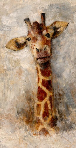 GIRAFFE CONTEMPLATION